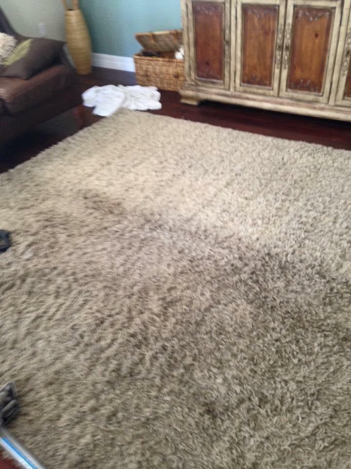 Carpet Cleaning